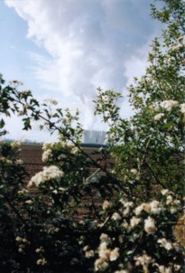 Kraftwerk Schwarze Pumpe