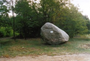 Hochkippe B�renbr�ck