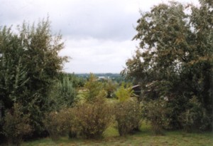 Hochkippe B�renbr�ck