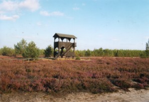 Reicherskreuzer Heide