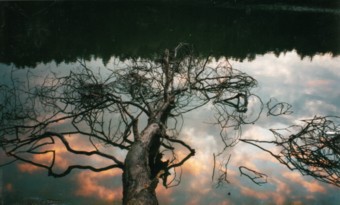 Sonnenaufgang am Wirchensee