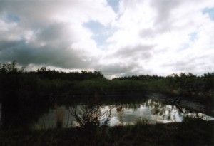 Hochkippe B�renbr�ck