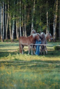 Menschen- und Tierkinder