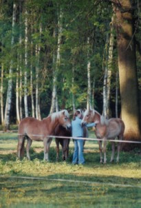 Menschen- und Tierkinder