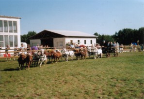 Der grosse Mehrsp�nner