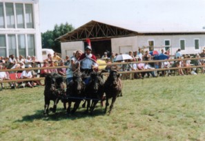 Die Shettys geben Gas